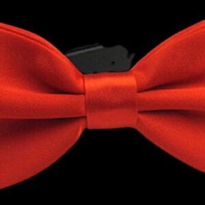 Elegant Red Bow Tie
